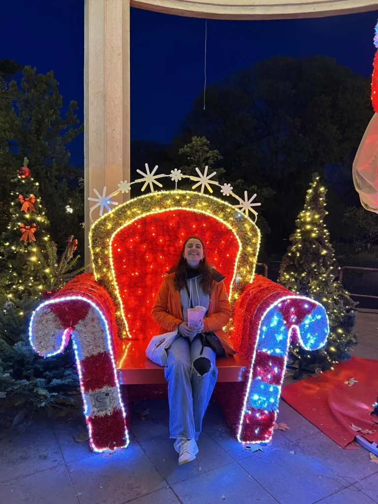 mercados navideños sur francia